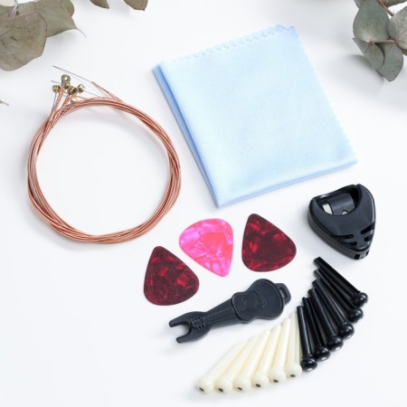 A set of accessories for Music Life guitar, initial-2