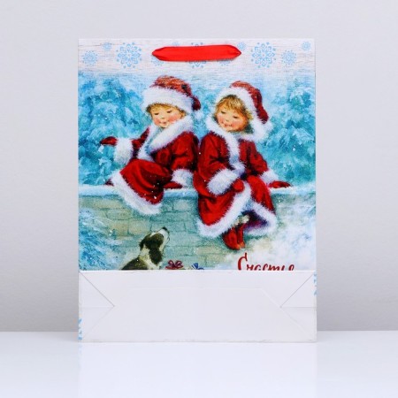 Laminated vertical "comfort" package, 33 x 42 x 10 cm-3