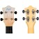 UKULELA KOT FLIGHT, TUS-25 Bus Pack