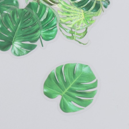 Stickers for creativity plastic "Palm leaves" set 40 pcs 0.3x8x14.8 cm-1