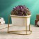 Pot "Triangle" on a stand, gold, 13x11x9cm