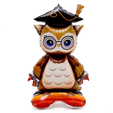 Foil ball 50 "Student owl", on a stand, under the air-3