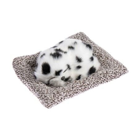 Toy on a car panel, a dog on a pillow, white and black color