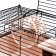 Mini cell for rodents "Pijon" No. 1, equipped, 27 x 15 x 13 cm, beige