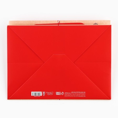 Gift package with a wide bottom "Fairytale Gift", 25 x 19 x 18 cm, New Year-7