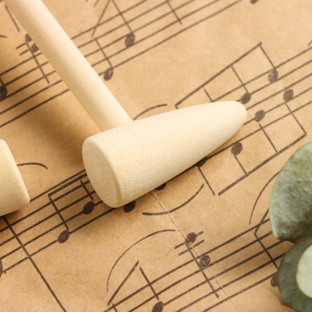 Sticks for Music Life 2 pcs, pointed tip-1