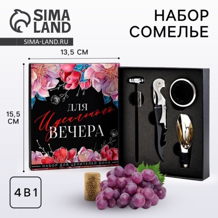 Gift set of corkscrew, aerator, cap, thermometer "for the evening", 14 x 16 cm