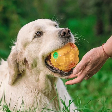 The croaking ball for dogs is large, hard, 9.5 cm, yellow-8