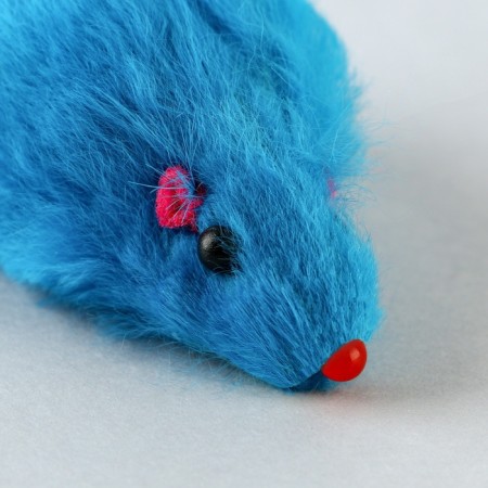 Toy for cats laser+mouse "Holiday at the cat"-3