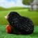 Garden figure "Hedgehog with apple" 19x14x14cm
