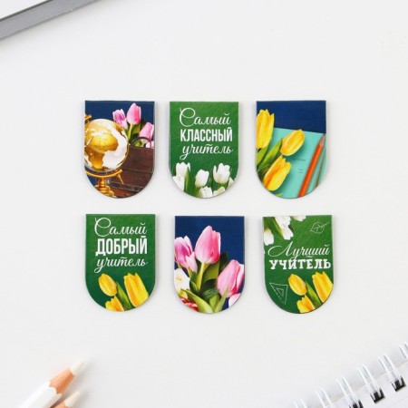 Magnetic bookmarks on the substrate "Beloved Teacher", 6 pcs.-2
