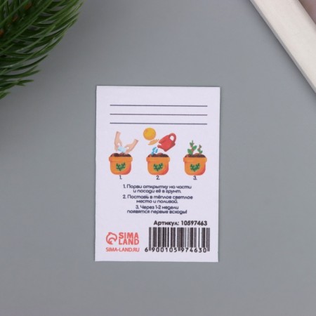 Postcard with the seeds "grow itself" "first grader" 5*7cm-2