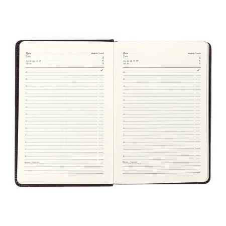Diary Nedtir A5 160l Escalada, TV Region, Light claim, Las, tone BL 70g/m2, black-12