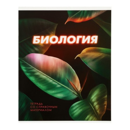 A set of subject notebooks 48 sheets "3D", 10 items, with reference material, covered cardboard, block No. 2, whiteness 75% (gray sheets)-27