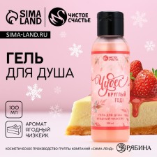 Soul gel “Miracles all year round!”, 100 ml, aroma of berry cheesecake, pure happiness