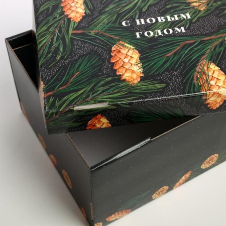 Folding box "cones", 31.2 x 25.6 x 16.1 cm, New Year-3