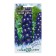 Seeds Dolphinium "Blue King", 0.05 g