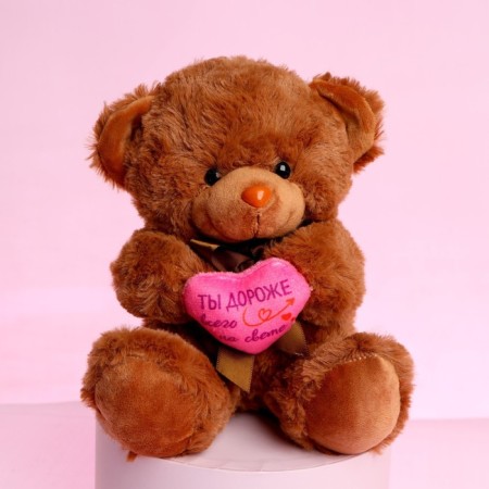 Soft toy "You are the most expensive in the world", Bear, Mix color-1