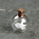 Garland “thread” 1.6 m with nozzles “balls with a star”, IP20, silver thread, 15 LED, white glow, AAX2