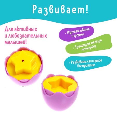 Сортер «Яички», набор 6 шт.-3