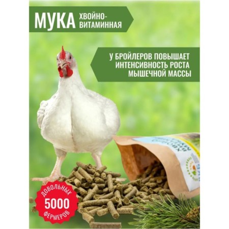 Vitamin flour, coniferous, 0.5 kg-3
