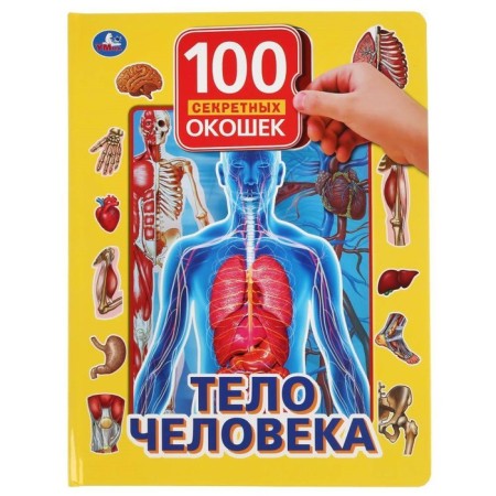 Тело человека