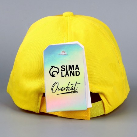 Children's cap for the boy Roar Roar, yellow color, rr 54-3