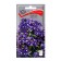 Flower seeds Nemesia Solo blue, 0.05g