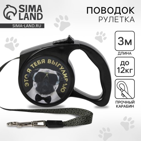 Roulette “I walk you” 3 m, max = 12 kg, black