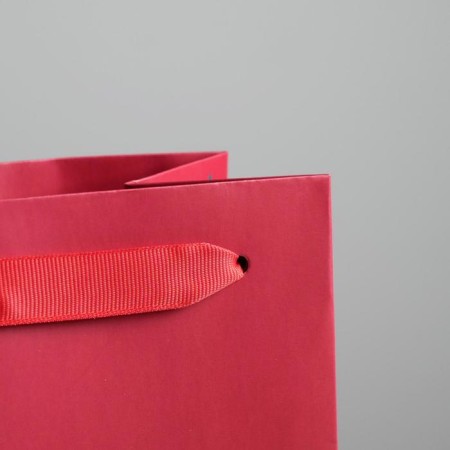 Package for the bottle "Do not hold evil", 13 x 36 x 10 cm, New Year-3