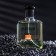 Perfumery water men's Red Label Platinum, 100 ml (based on Egoiste Platinum (Chanel)