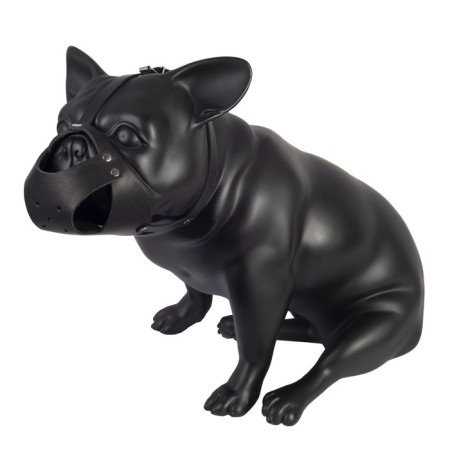 The muzzle is an integral scene for small breeds of dogs (French bulldog)-2