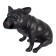 The muzzle is an integral scene for small breeds of dogs (French bulldog)