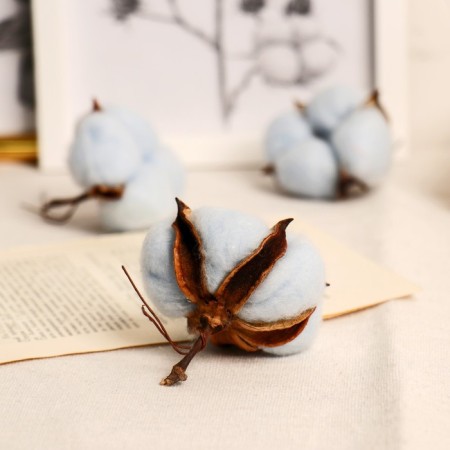 Sukhotzet "Cotton" D-5 cm, 5 cm, blue-2