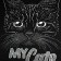 Penal 1 section, 140 x 200 x 40 mm, 2 folding strips, textile, PCT 09-22-19 "My cat" (drawing with a metallic effect) 72205