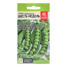 Seeds of peas 