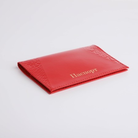 Cover for passport, red color-3