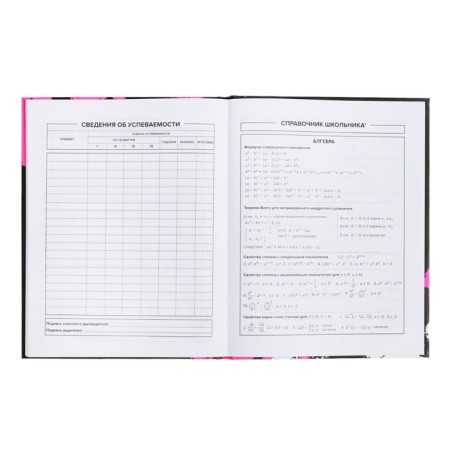 School diary for grades 1-11, 48 sheets "Rabbit Graffiti", hard cover, matte lamination, universal cheat sheet, block 65g/m2-8
