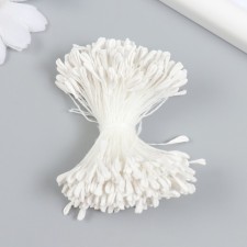 Stamens for flowers 