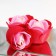 Soap roses, three -color, set of 3 pcs.