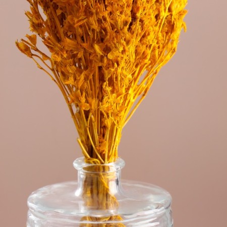 Set of dried flowers "chandra", banch length 30 (+/- 6 cm), yellow-1
