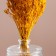 Set of dried flowers "chandra", banch length 30 (+/- 6 cm), yellow