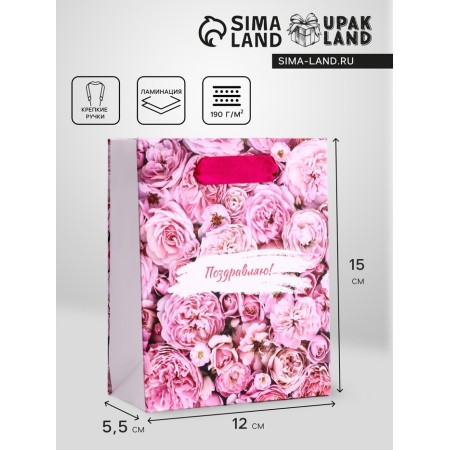 Package Gift Vertical "Happy Day", S 12 × 15 × 5.5 cm