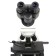 Biological microscope "Mikromed 2", 3-20 Inf