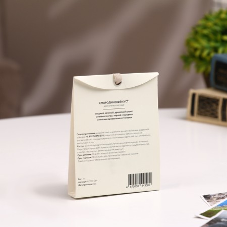 Sasha aromatic currant bush 10 g-1