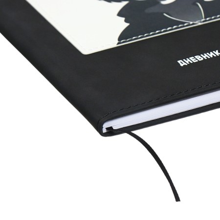 The universal diary for the 1-11 classes "Anime", a solid cover made of artificial leather, application, lies, 48 ​​sheets, black-2