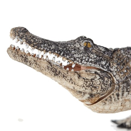 Figure Konik "Alligator"-5