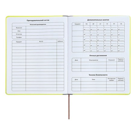 The universal diary for grades 1-11 is an excellent student, a solid cover made of artificial leather, silkography, lies, 48 ​​sheets, light green-4
