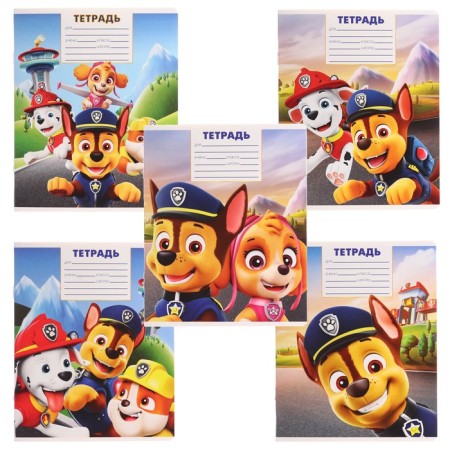 Notebook 12 sheets in a cage, 5 types of mix, cover coated cardboard, puppy patrol-1