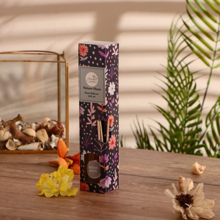 Diffusor "Nature Hues" 60 ml. Indian Spice